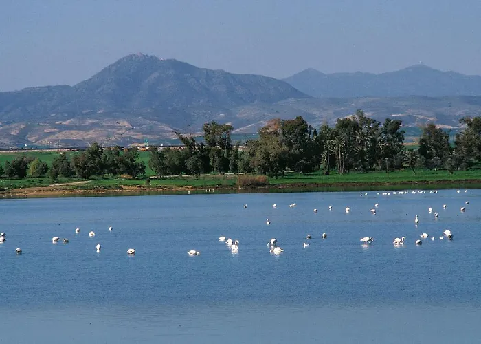 公寓式酒店 开拓者公寓式酒店